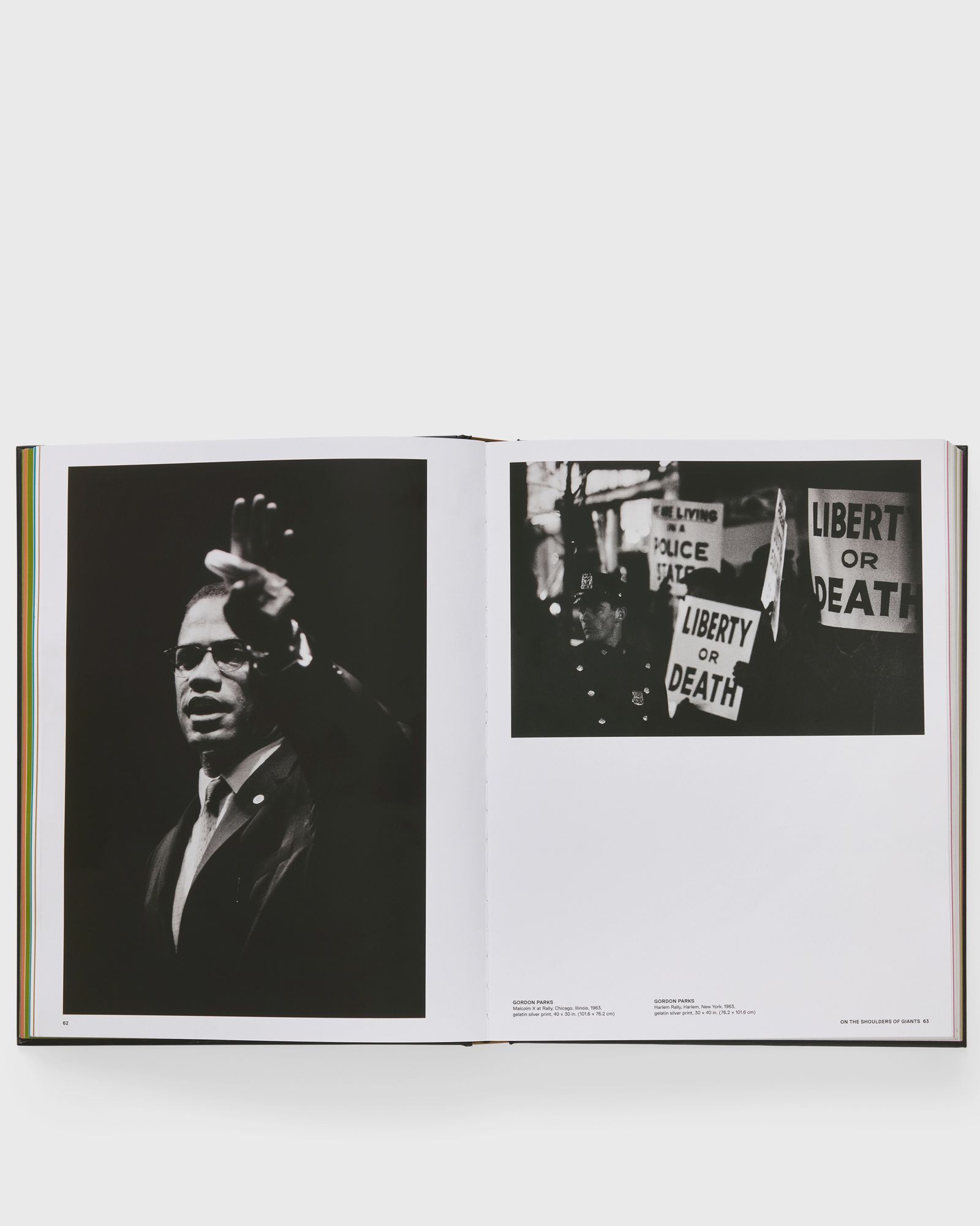 Giants Art from the Dean Collection of Swizz Beatz and Alicia Keys