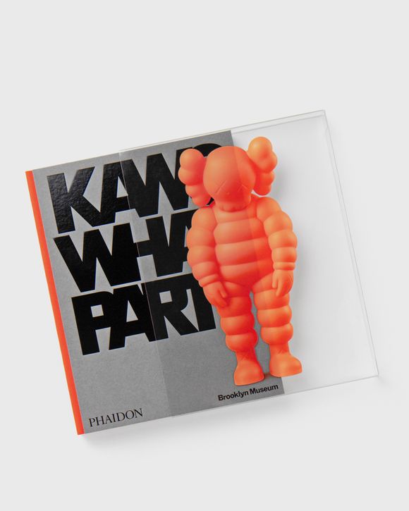 PHAIDON Kaws: what party. Orange edition Multi - Multi
