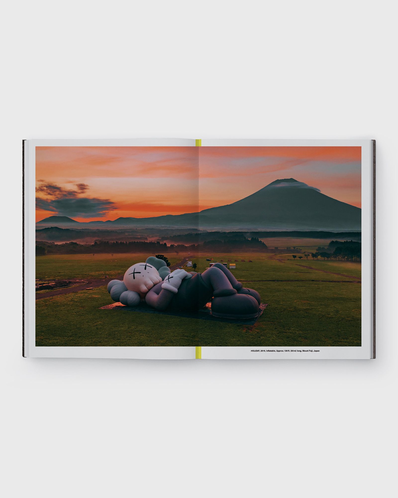 Kaws: what party. Yellow edition