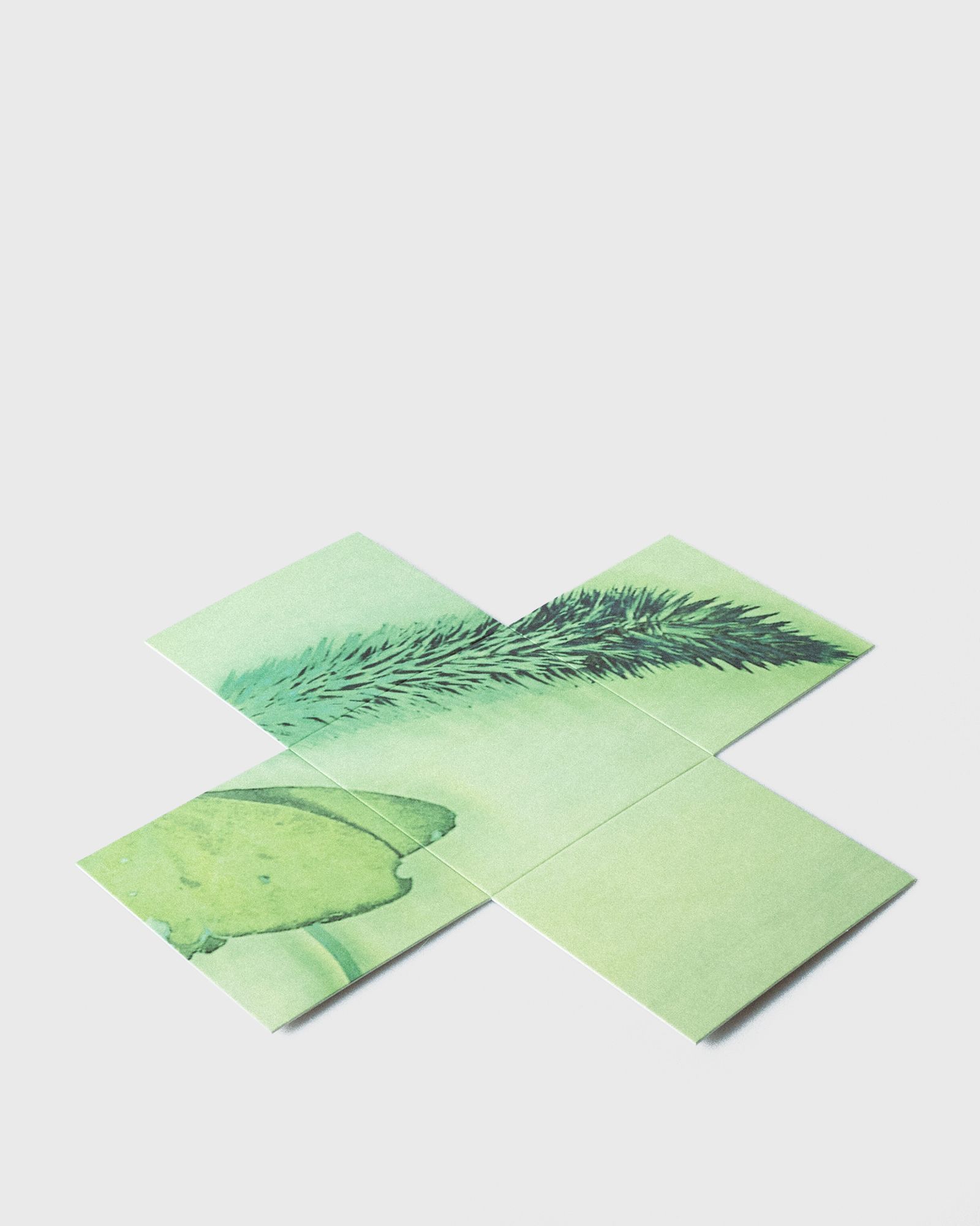 Richborough Parfum - 100 ml