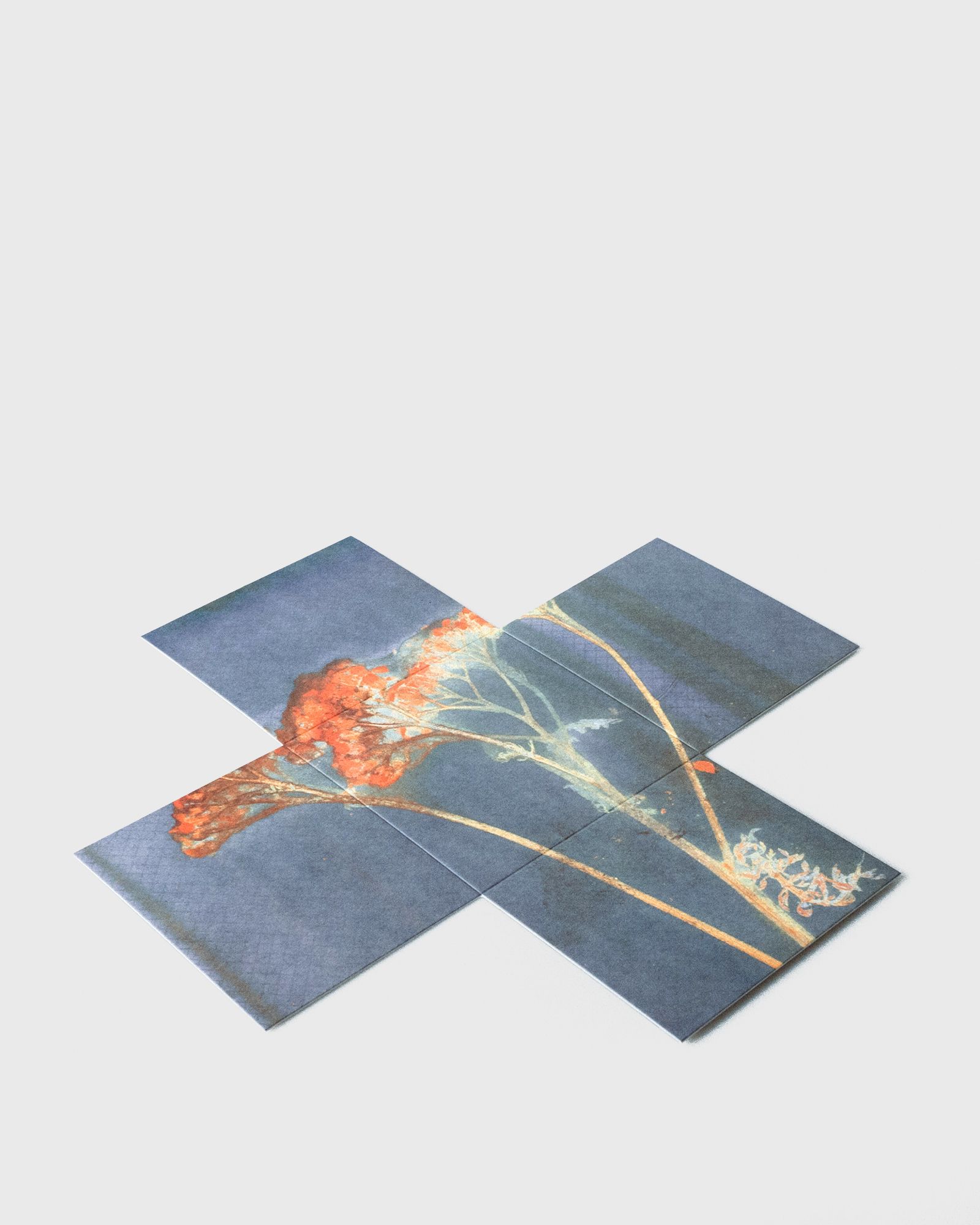 Pegwell Parfum - 100 ml