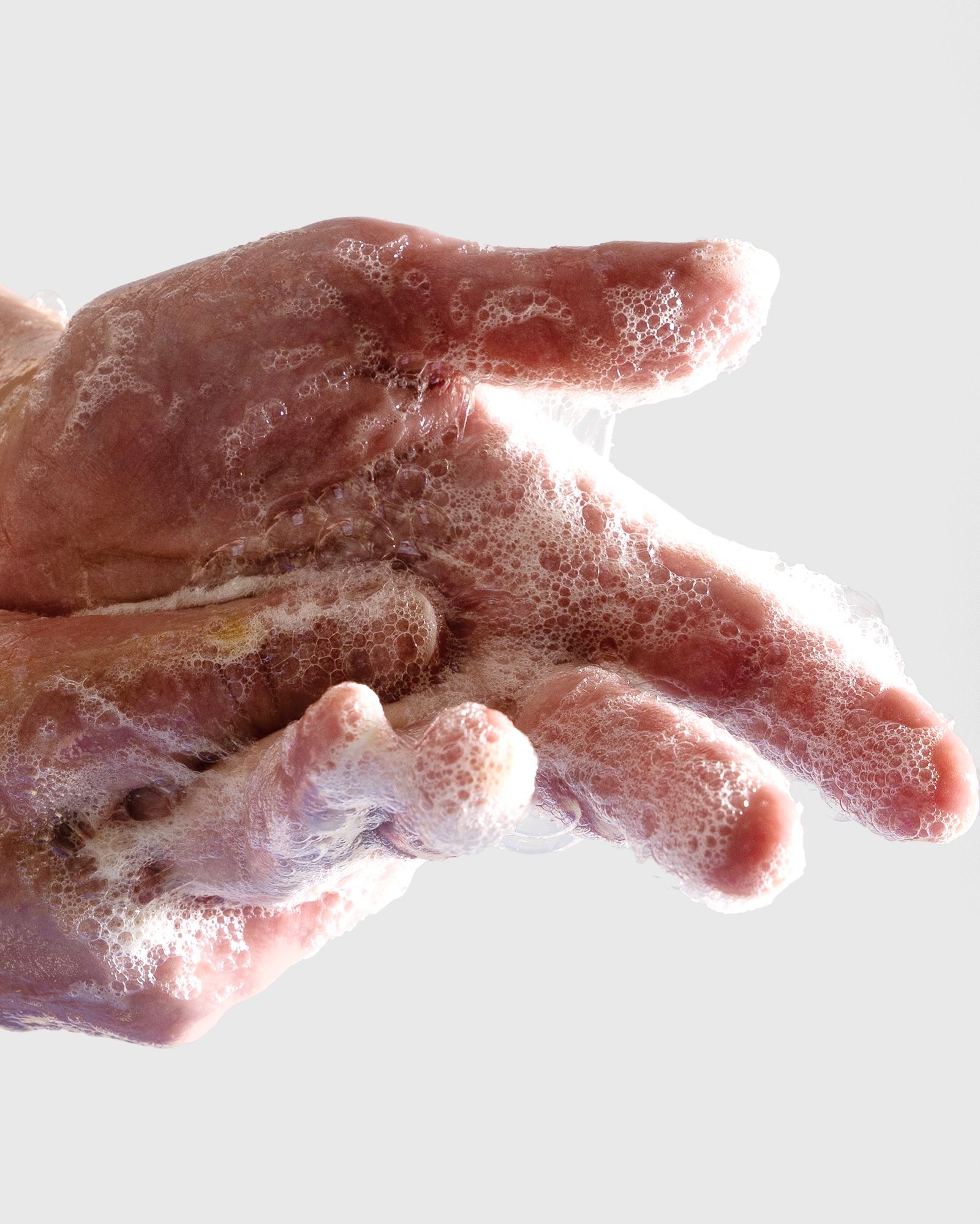 Bladderwrack + Fennel Hand Wash - 450 ml