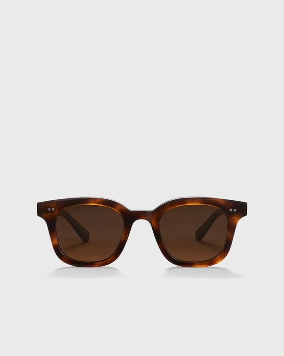 02 TORTOISE SUNGLASSES
