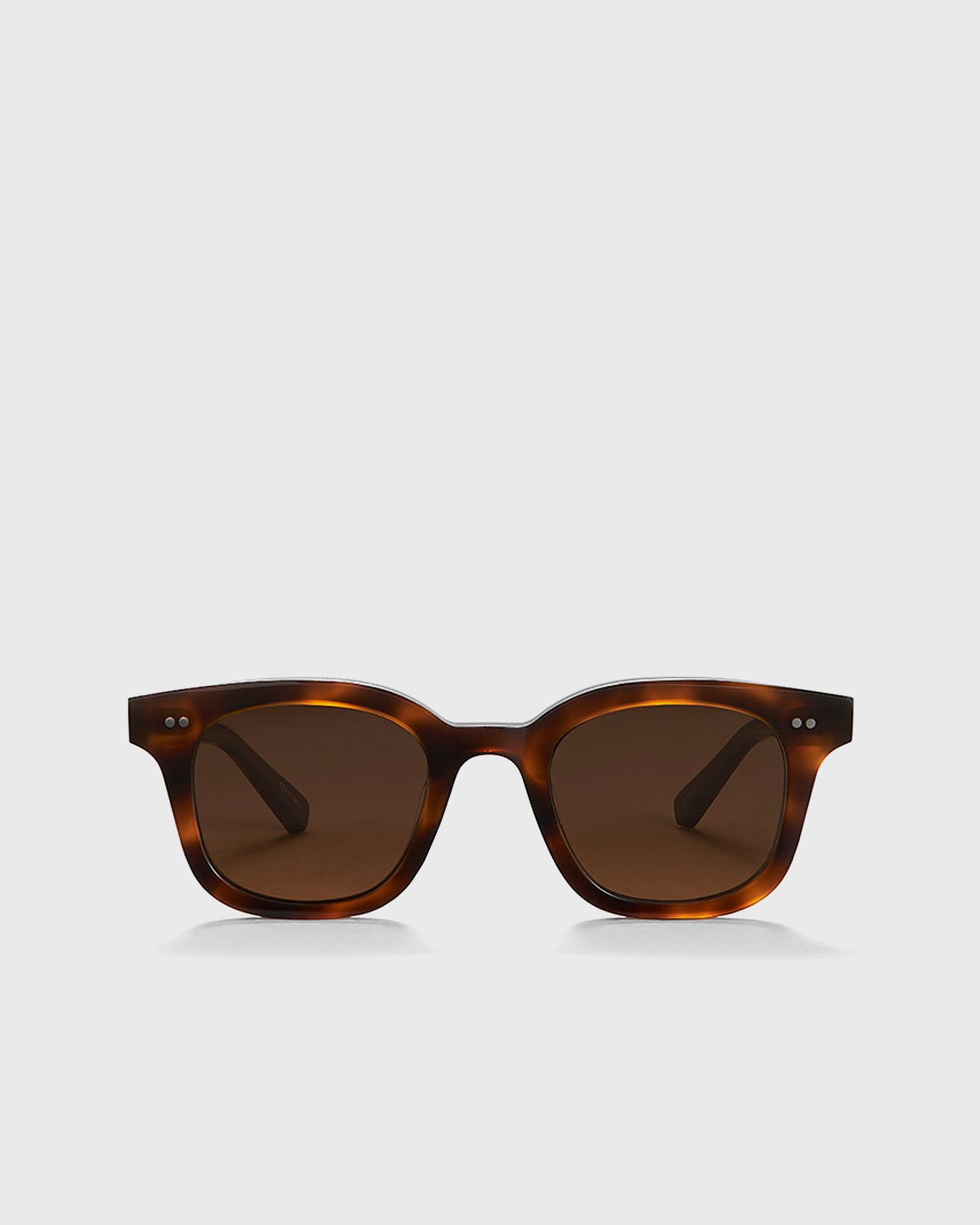 02 TORTOISE SUNGLASSES