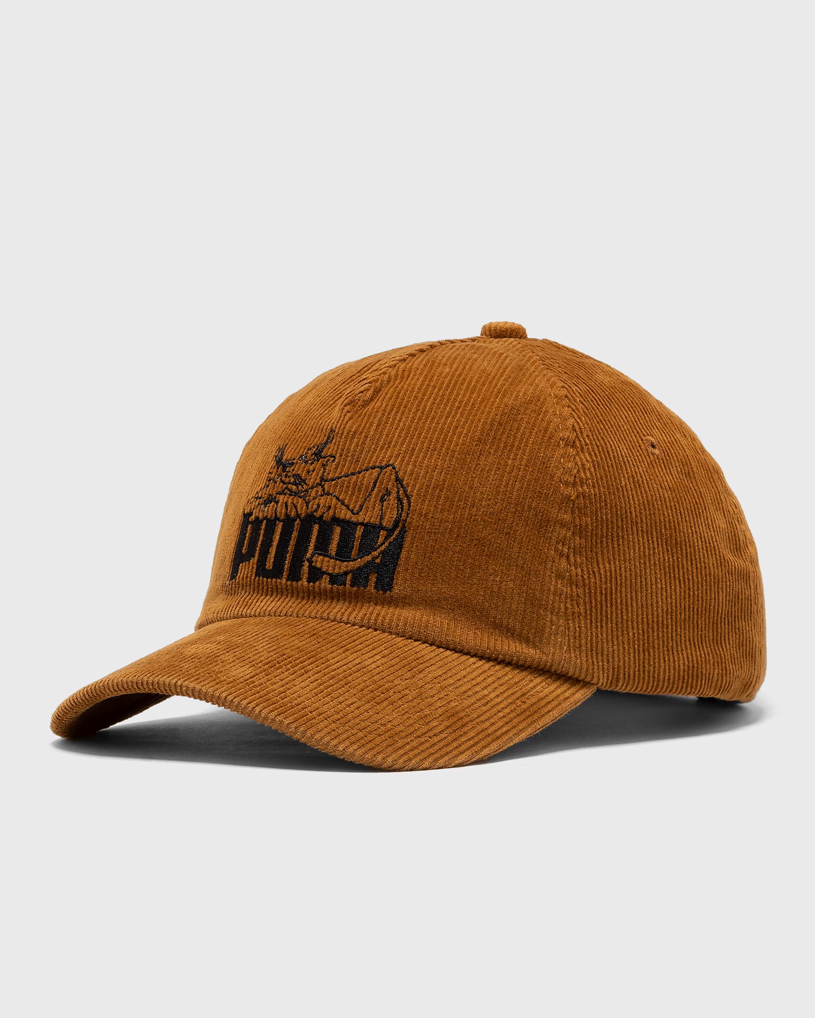 PUMA x NOAH 5 Panel Cap