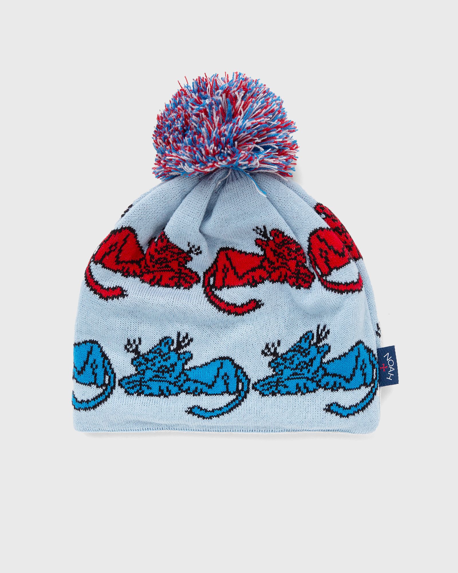 PUMA x NOAH Ski Beanie