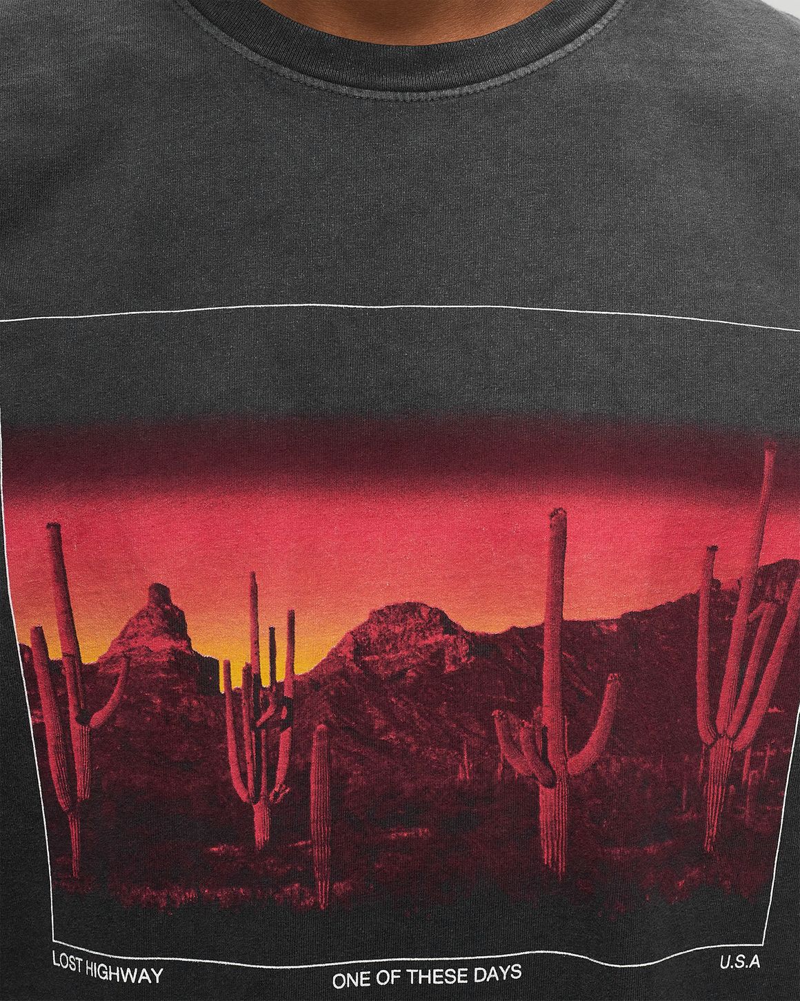 One of these Days BURNING LANDSCAPE TEE Black | BSTN Store