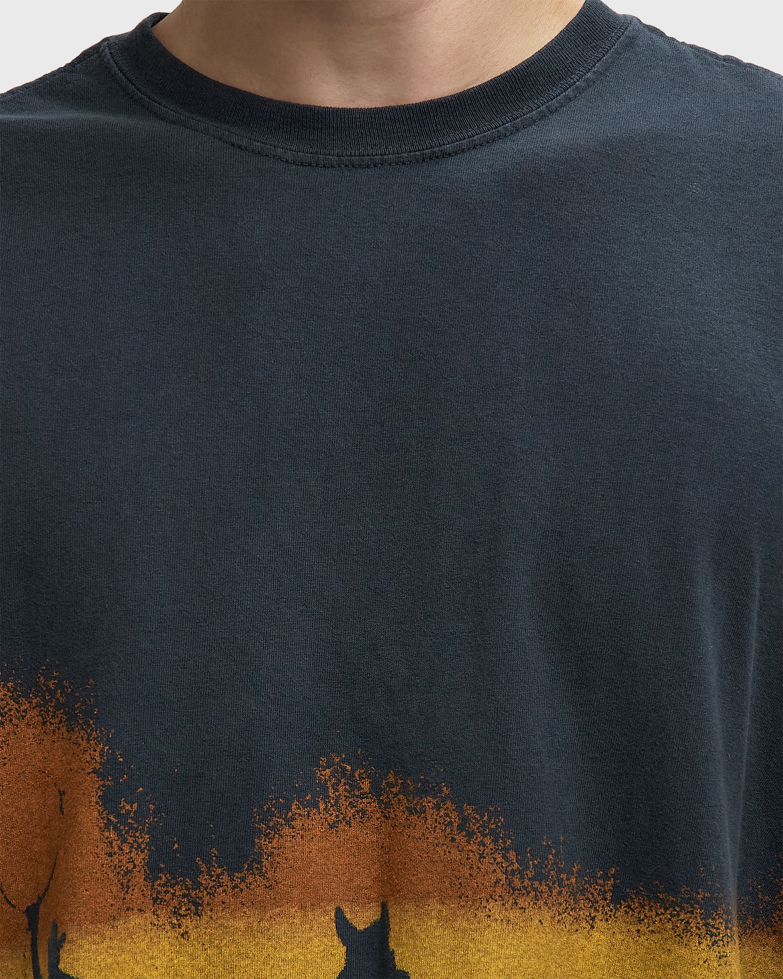 VELVET MORNING T-SHIRT