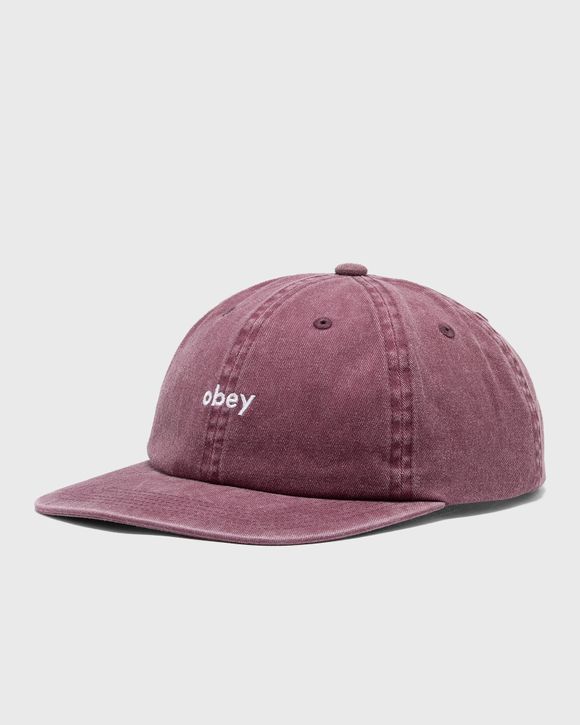 Pigment lowercase 6 panel stra