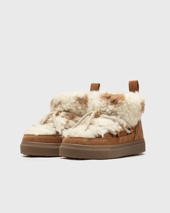 Thumbnail - TEDDY LOW