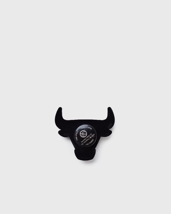 NBA Chicago Bulls Logo