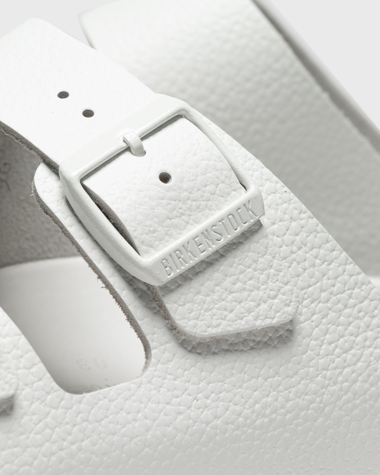 Arizona EXQ LE Exquisite