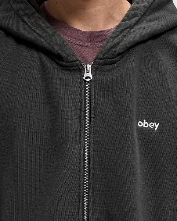 Lowercase pigment zip hood