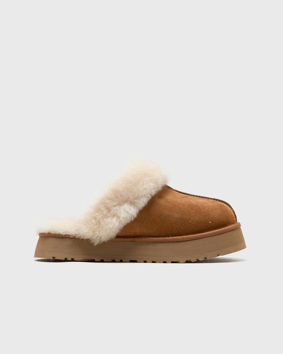 WMNS DISQUETTE