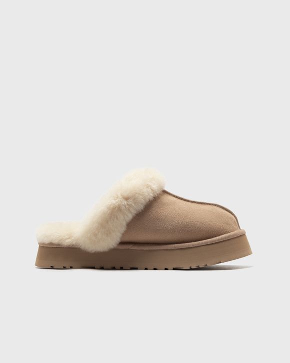 WMNS DISQUETTE