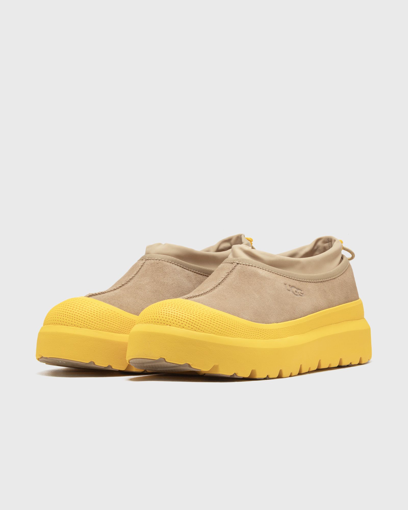 TASMAN WEATHER HYBRID