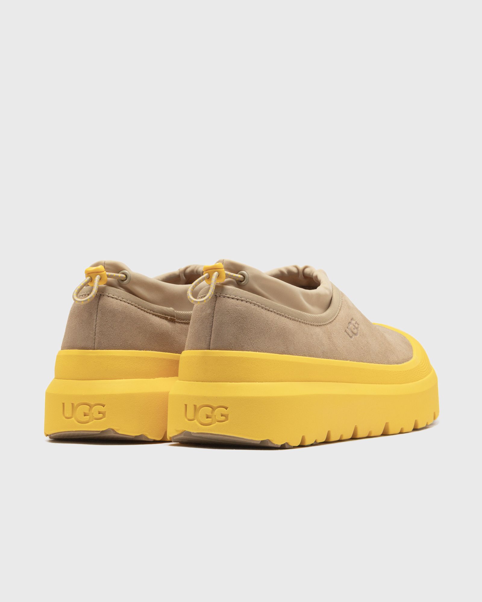 TASMAN WEATHER HYBRID