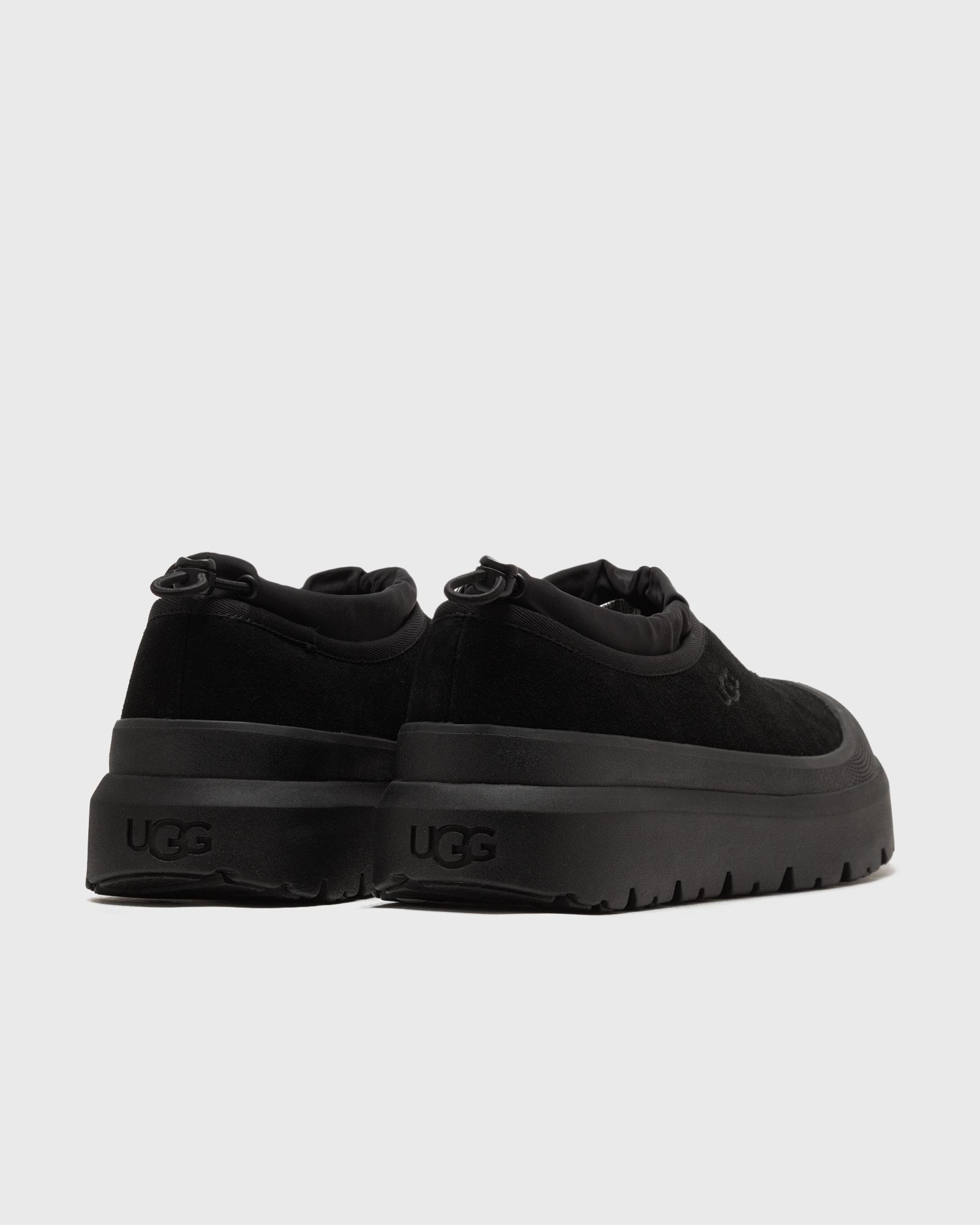 TASMAN WEATHER HYBRID