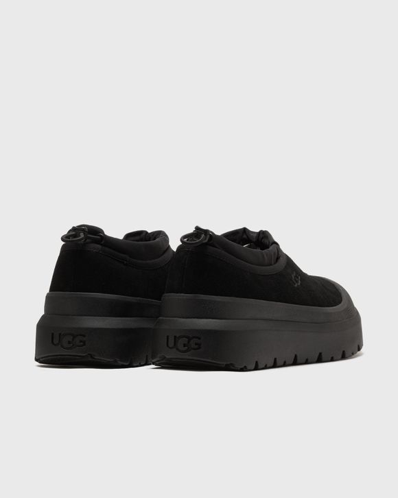 TASMAN WEATHER HYBRID