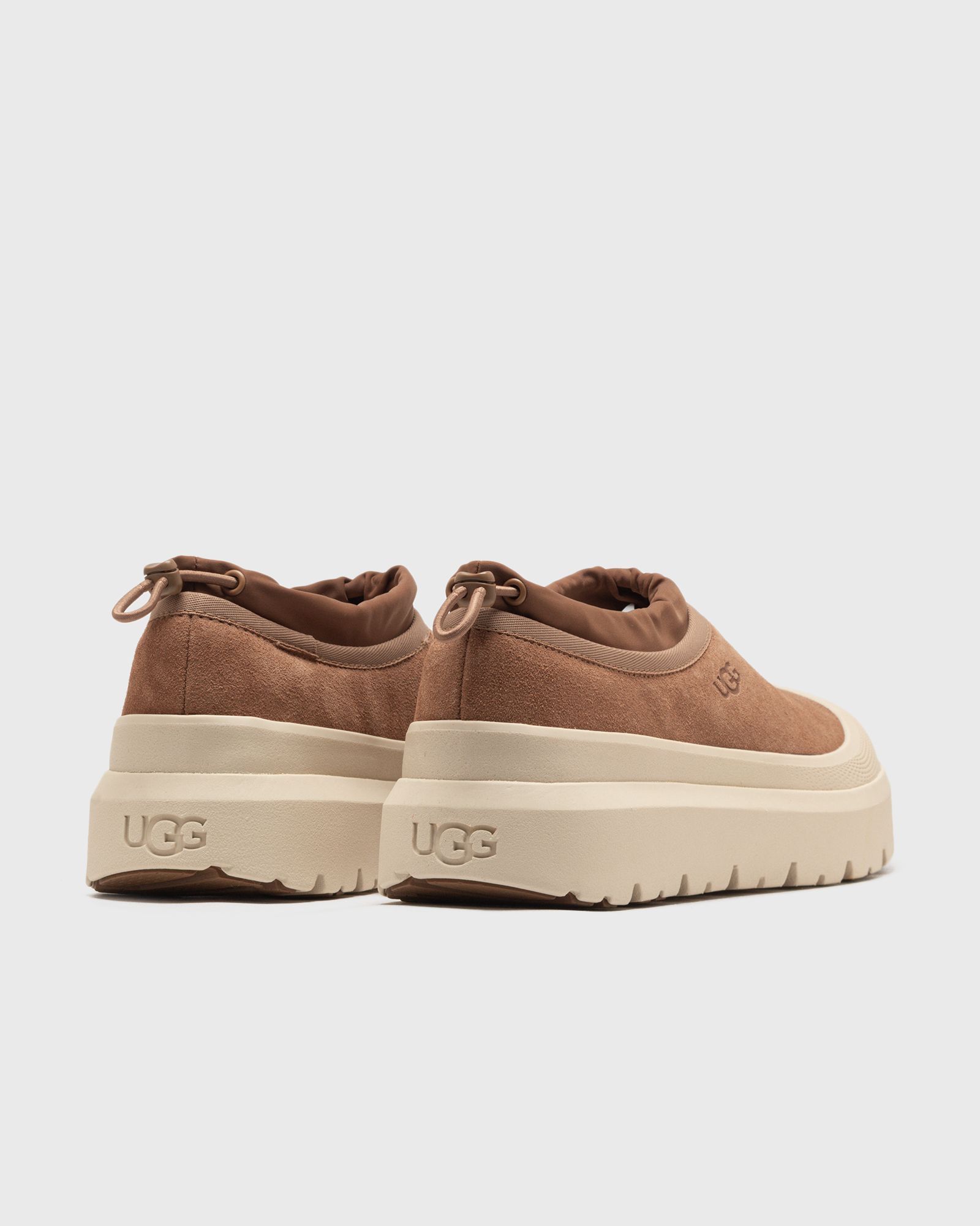 TASMAN WEATHER HYBRID