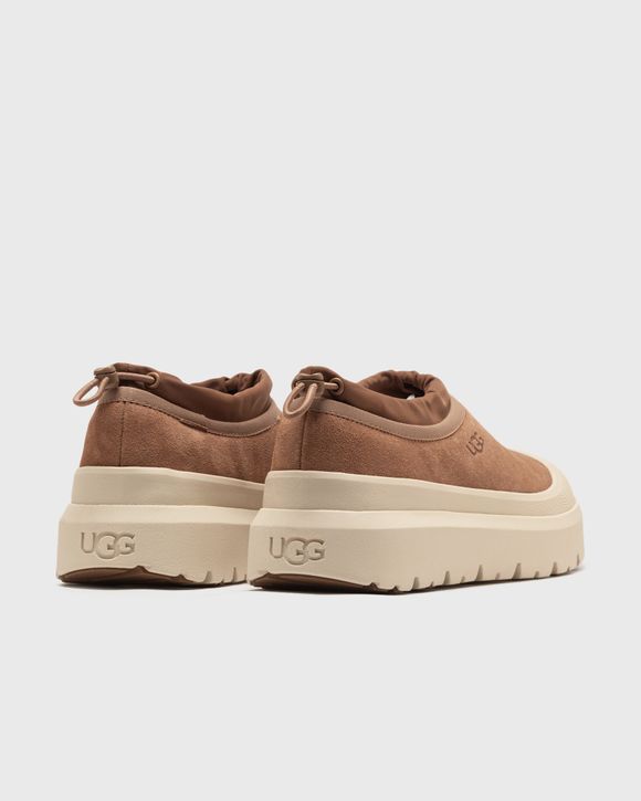 TASMAN WEATHER HYBRID