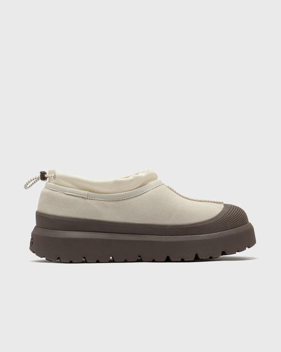 M TASMAN WEATHER HYBRID