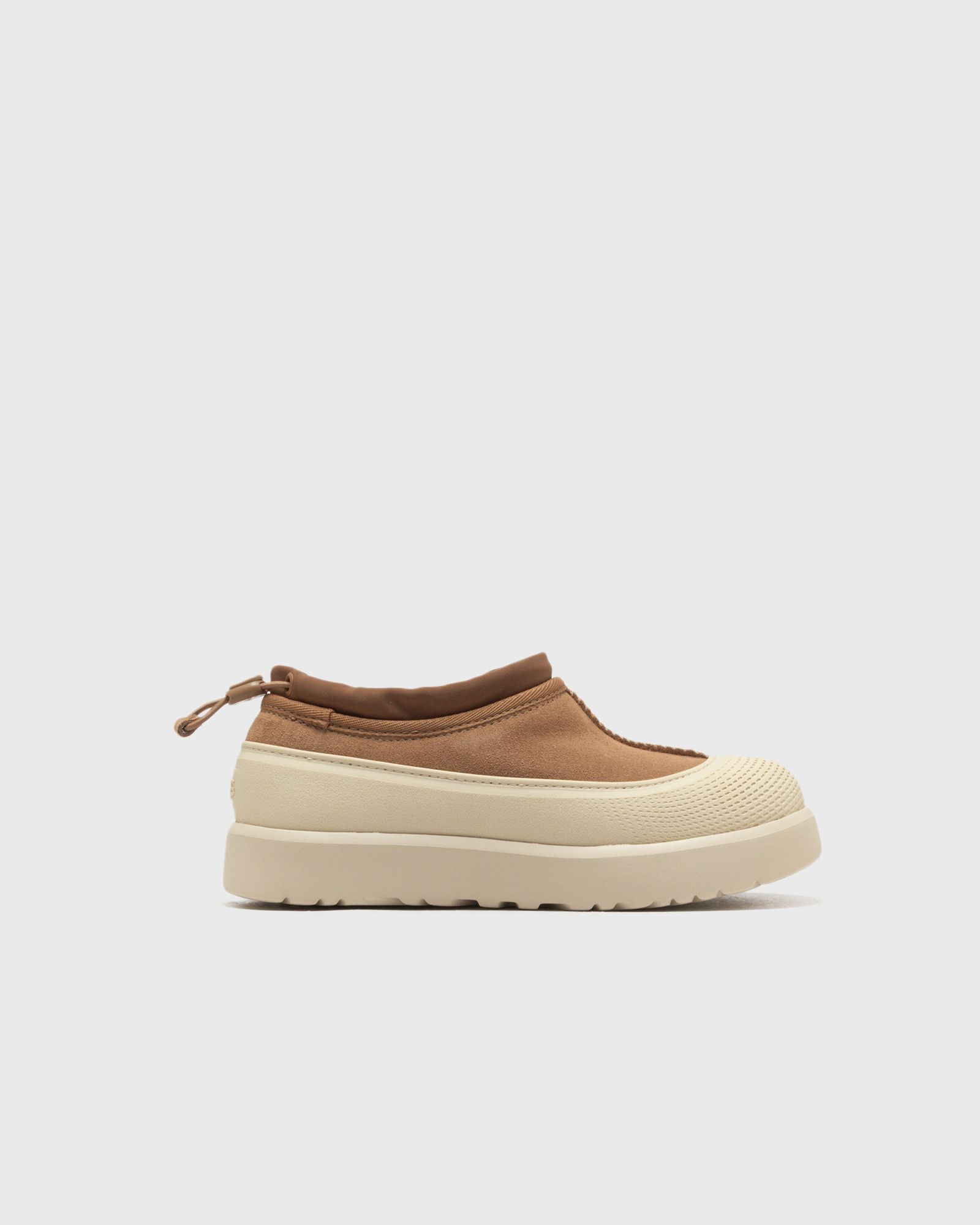 TASMAN WEATHER HYBRID