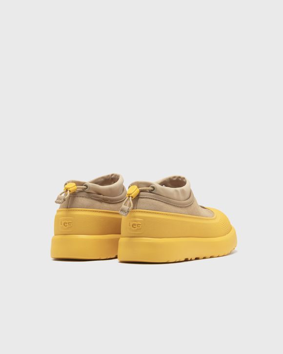 TASMAN WEATHER HYBRID