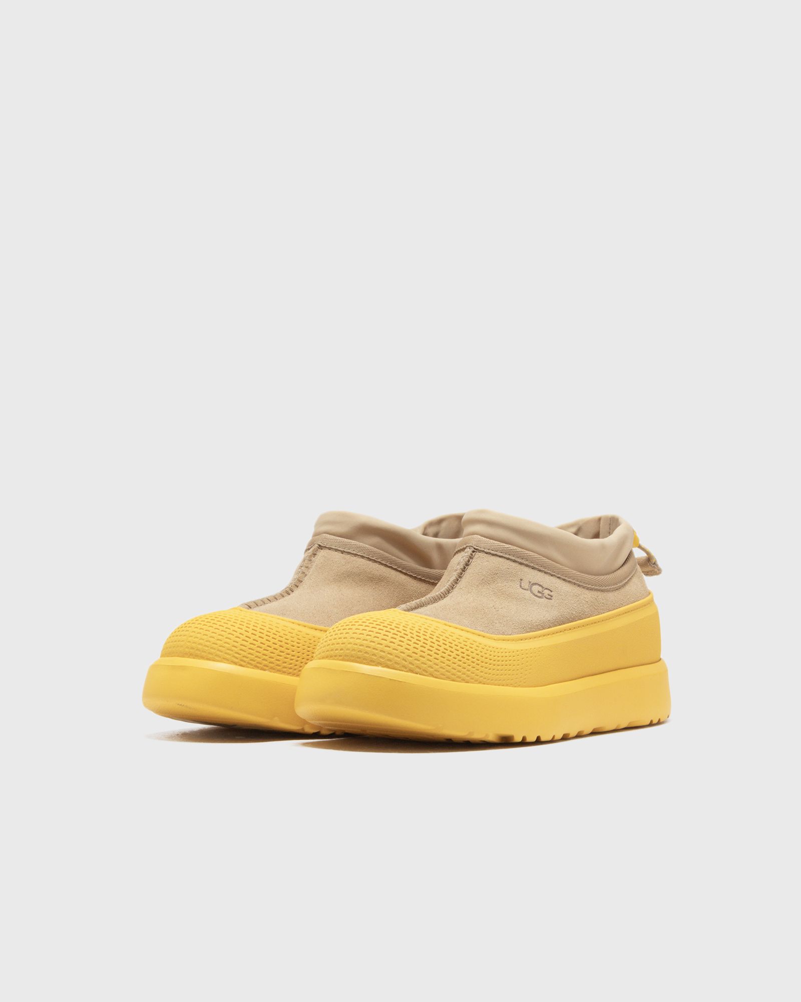 TASMAN WEATHER HYBRID