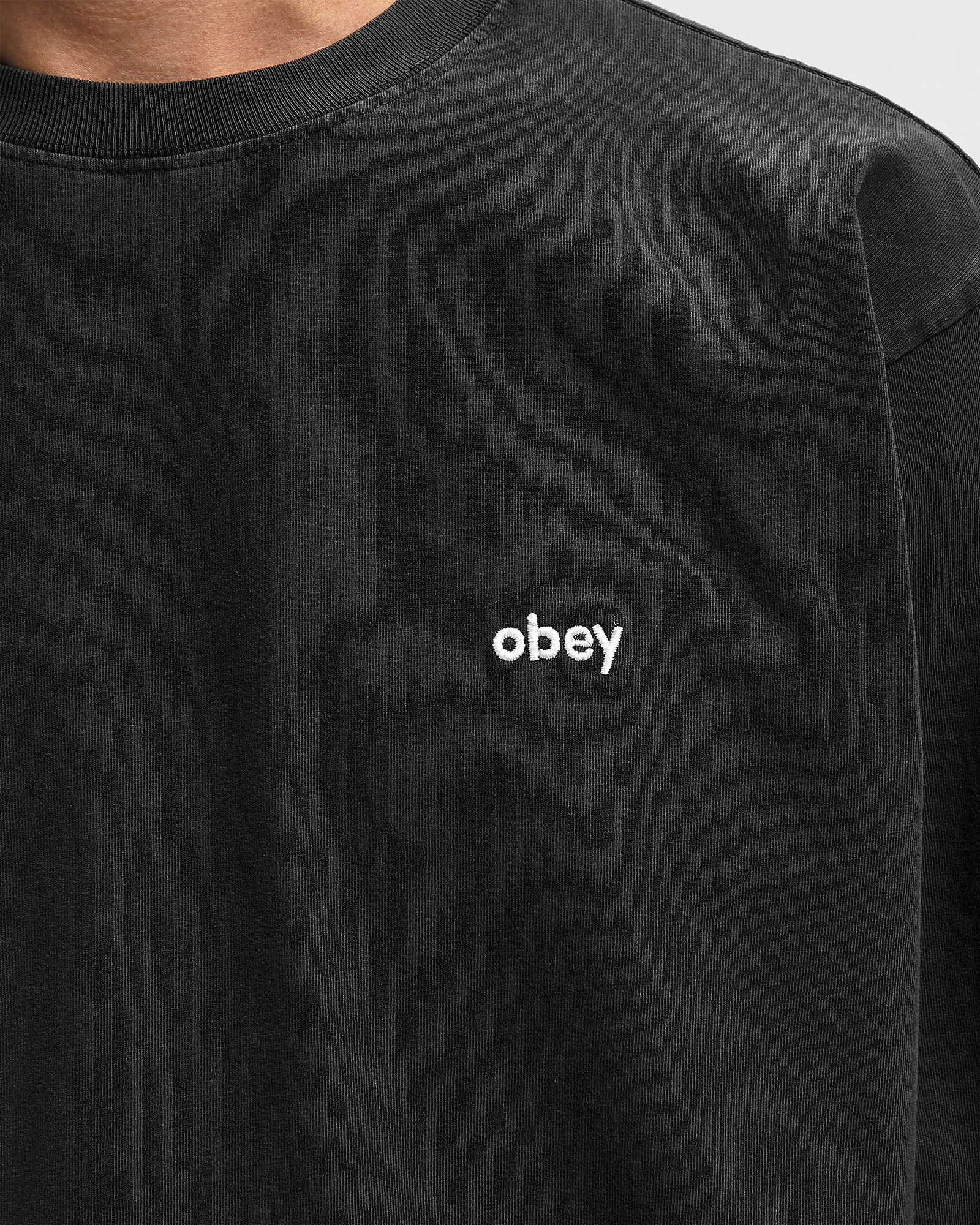 Lowercase pigment tee ls