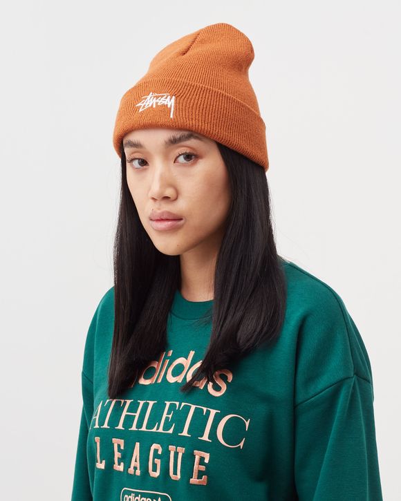 Stussy 2024 stock beanie