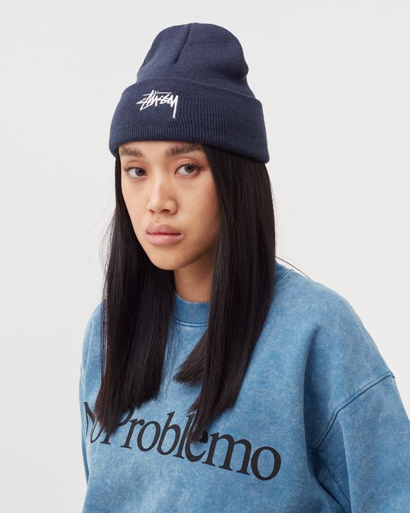 Stussy store stock beanie