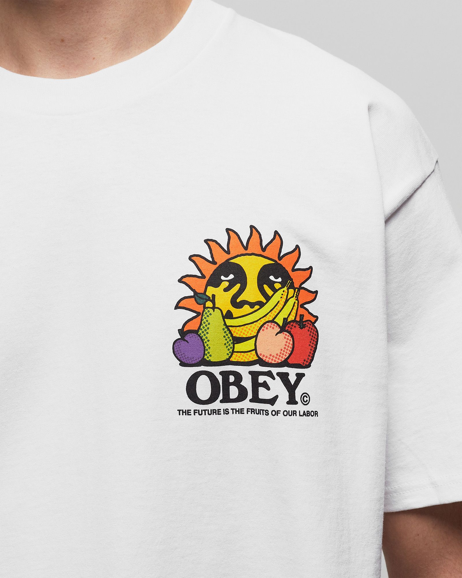 The future is the fruits of ou