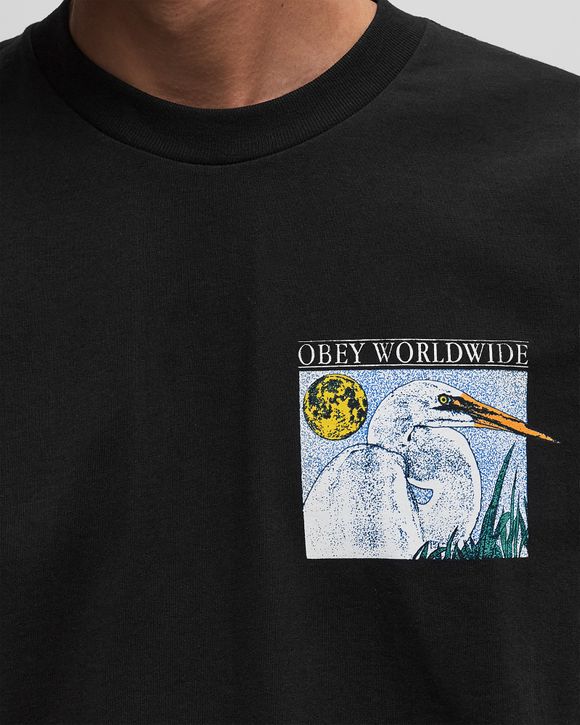 Obey wildlife