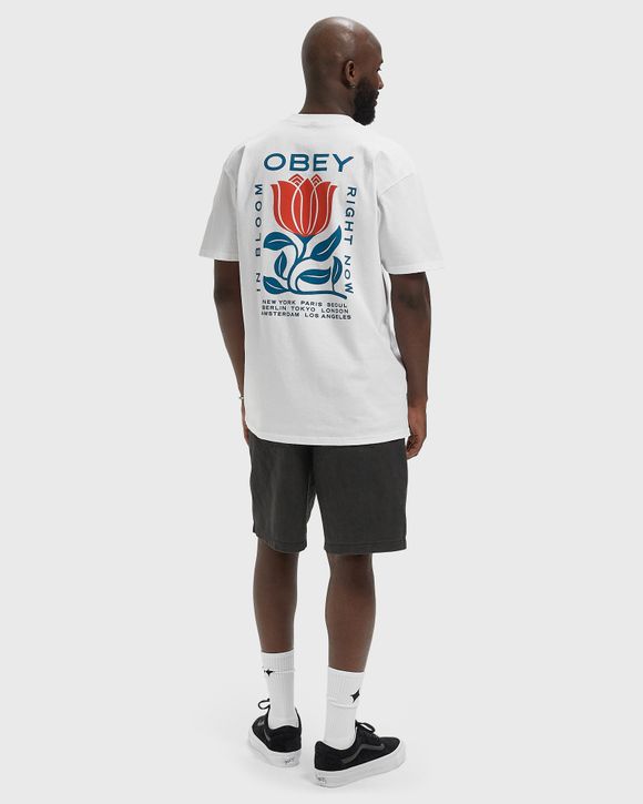 Thumbnail - Obey in bloom