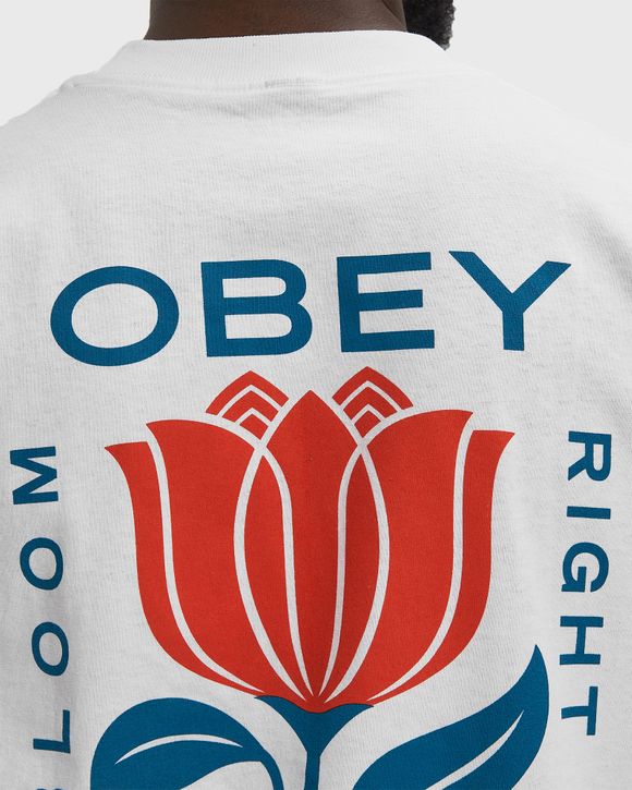Obey in bloom