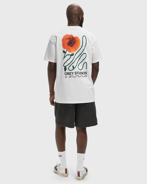 Thumbnail - Obey moves of life