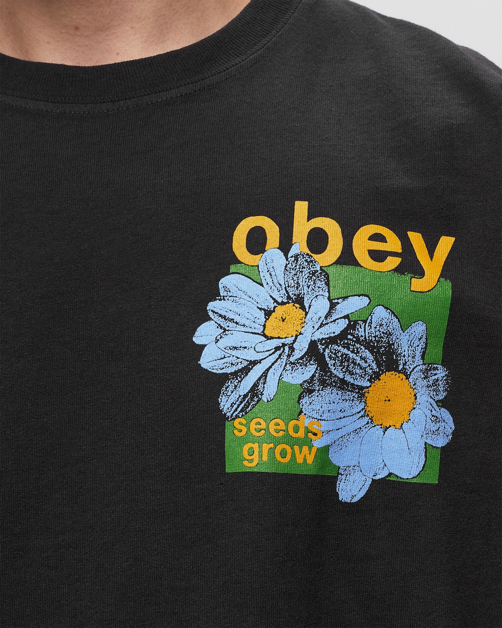 Obey seeds grow