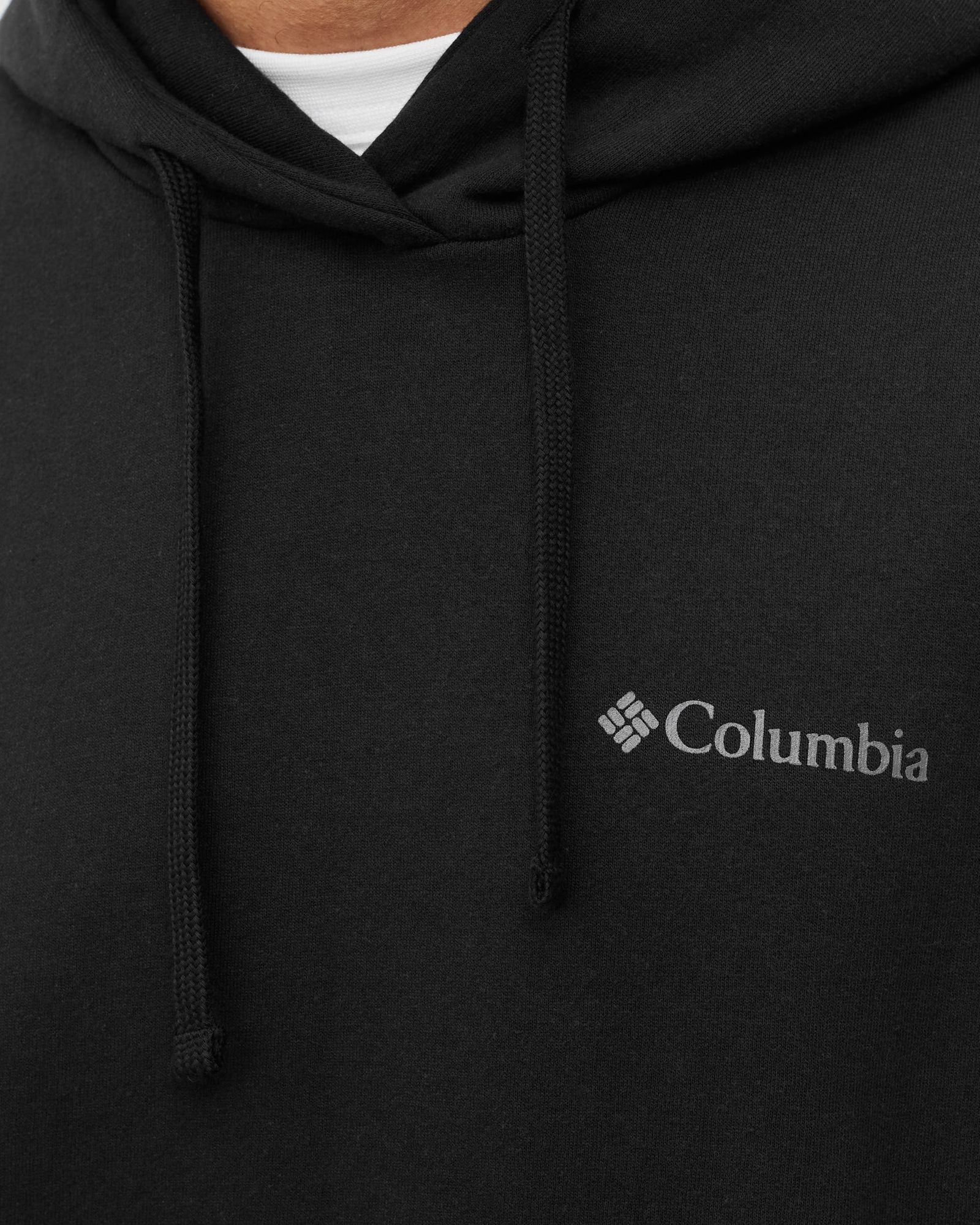 Viewmont II Sleeve Graphic Hoodie