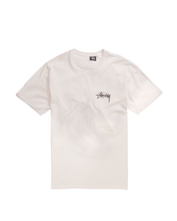 DAYDREAM PIG. DYED TEE