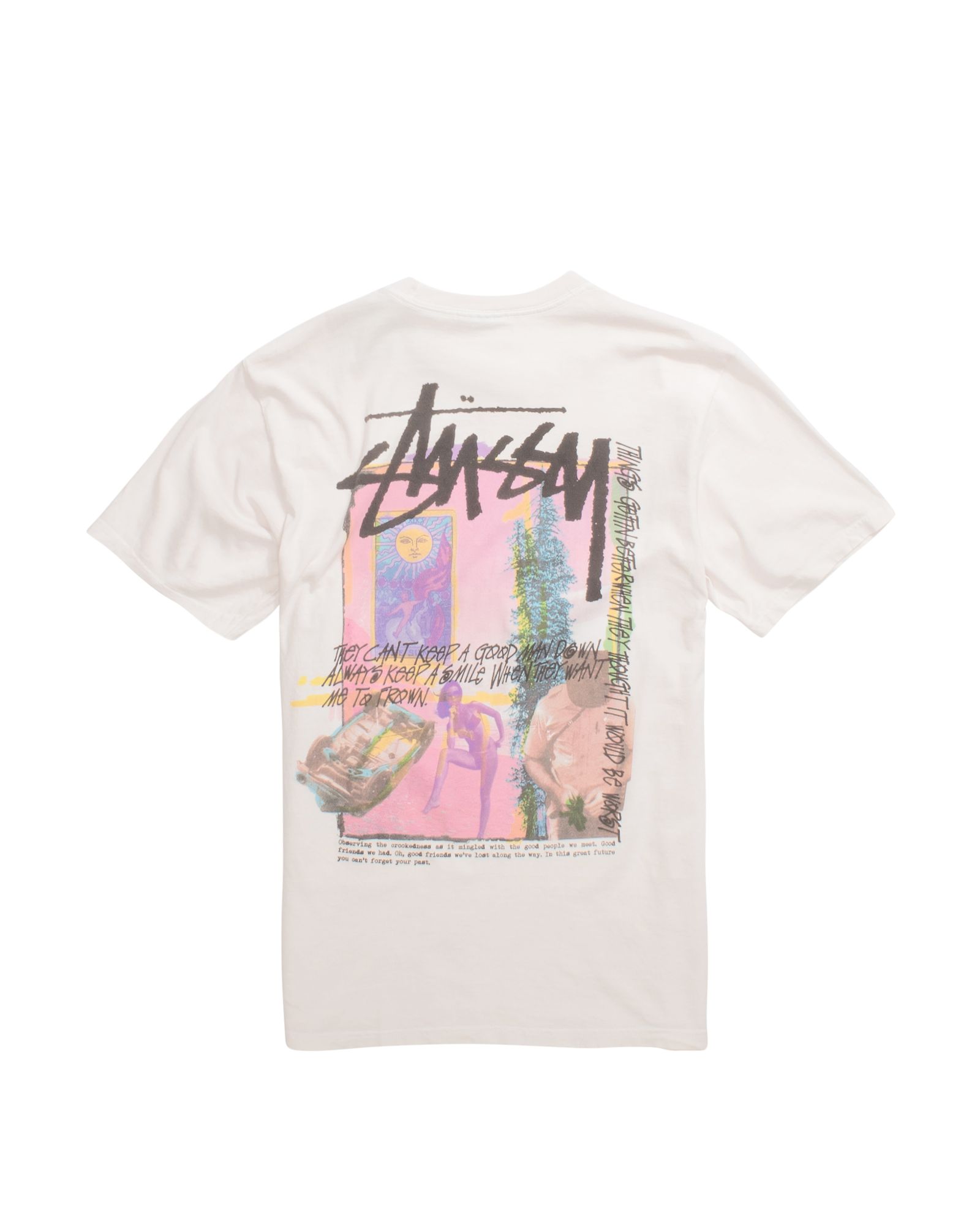 DAYDREAM PIG. DYED TEE