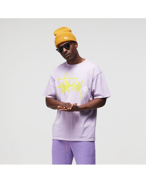 Basic Logo Pig. Dyed Tee