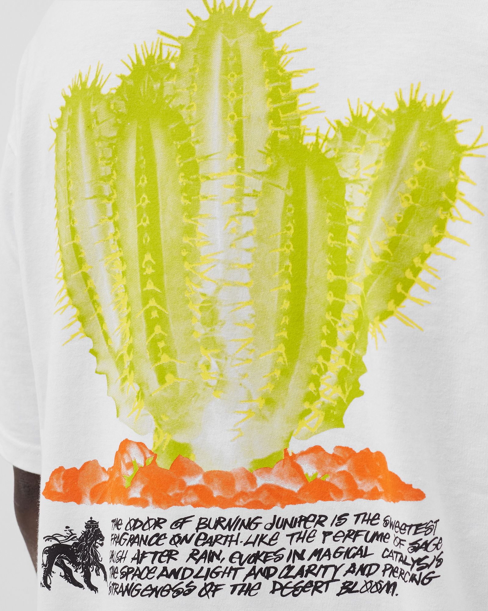 Stussy Desert Bloom Tee White | BSTN Store