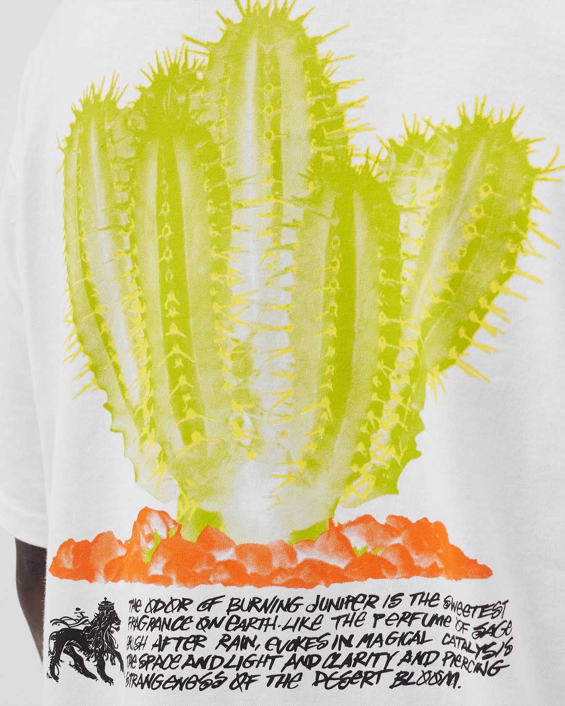 Stussy Desert Bloom Tee White | BSTN Store