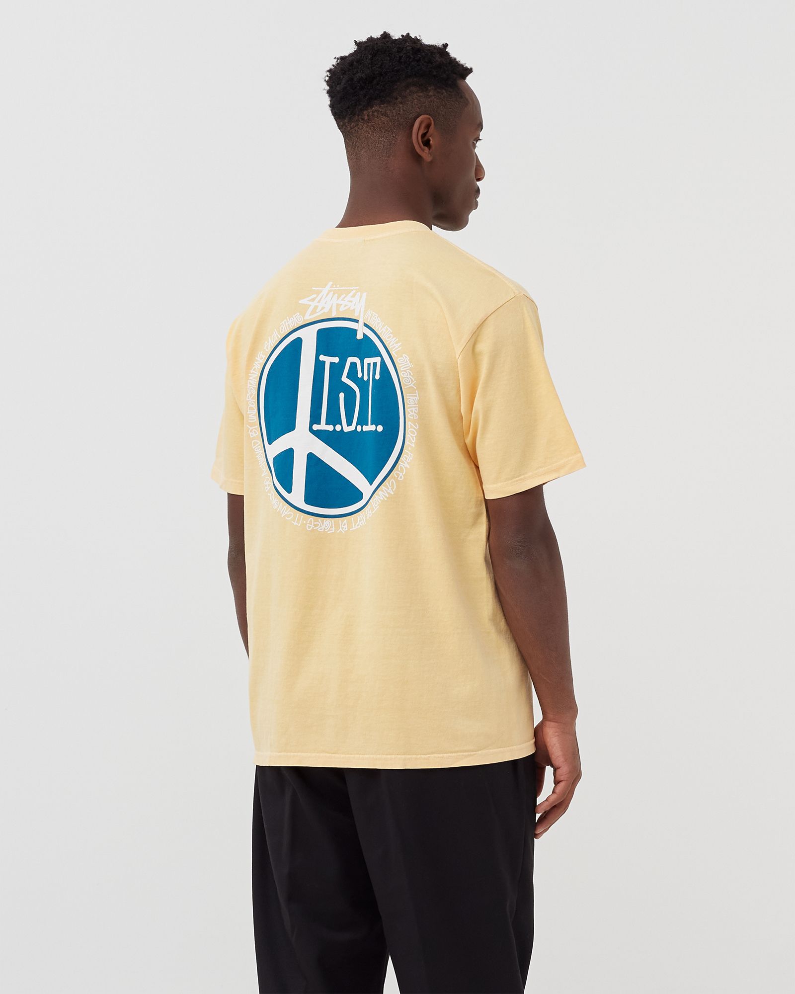 Peace Dot Pig. Dyed Tee