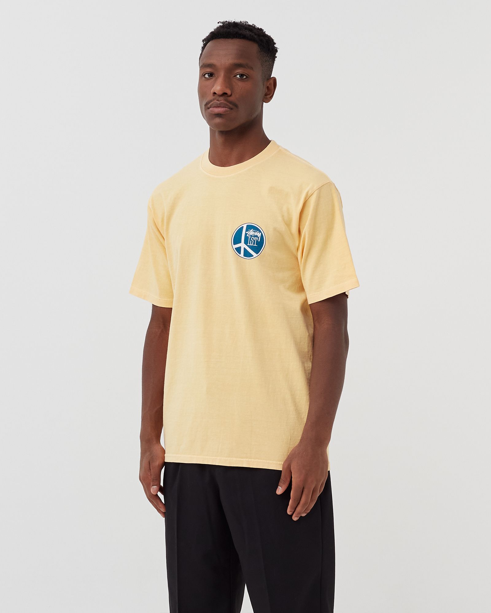 Peace Dot Pig. Dyed Tee