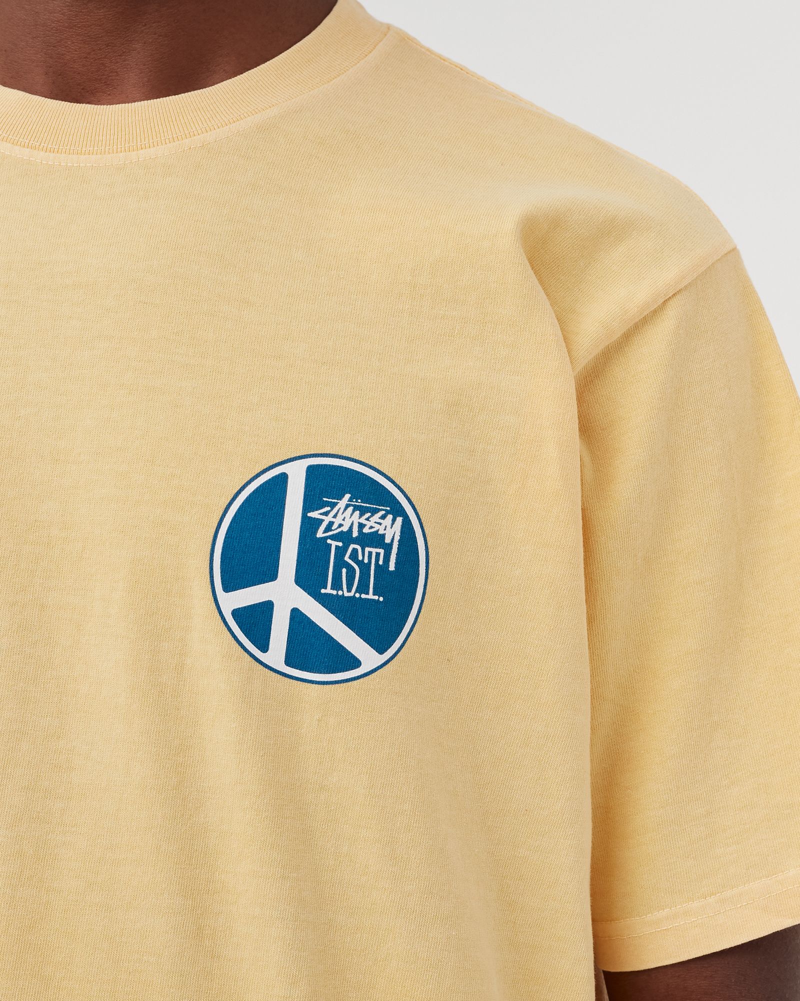 Peace Dot Pig. Dyed Tee