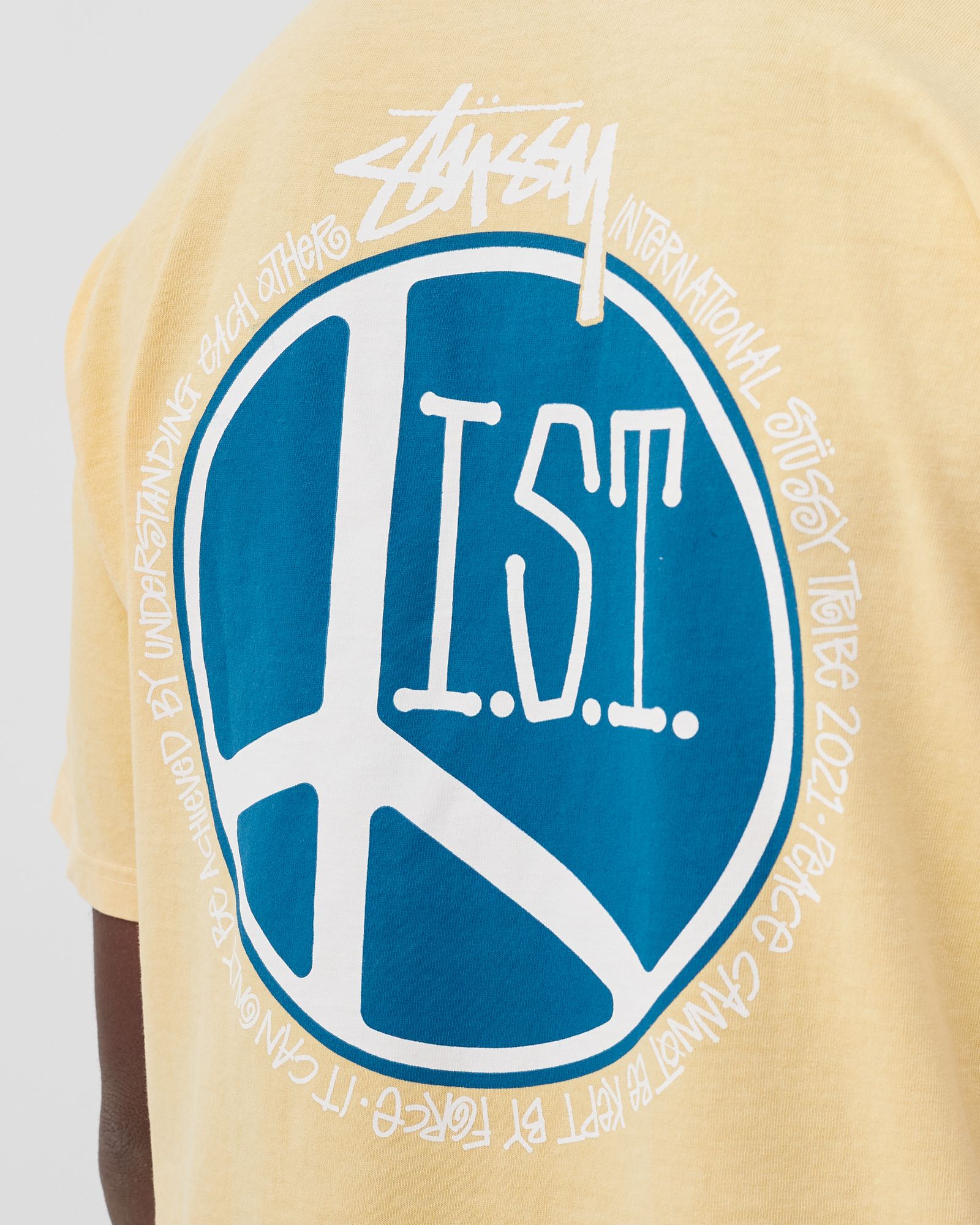 Peace Dot Pig. Dyed Tee