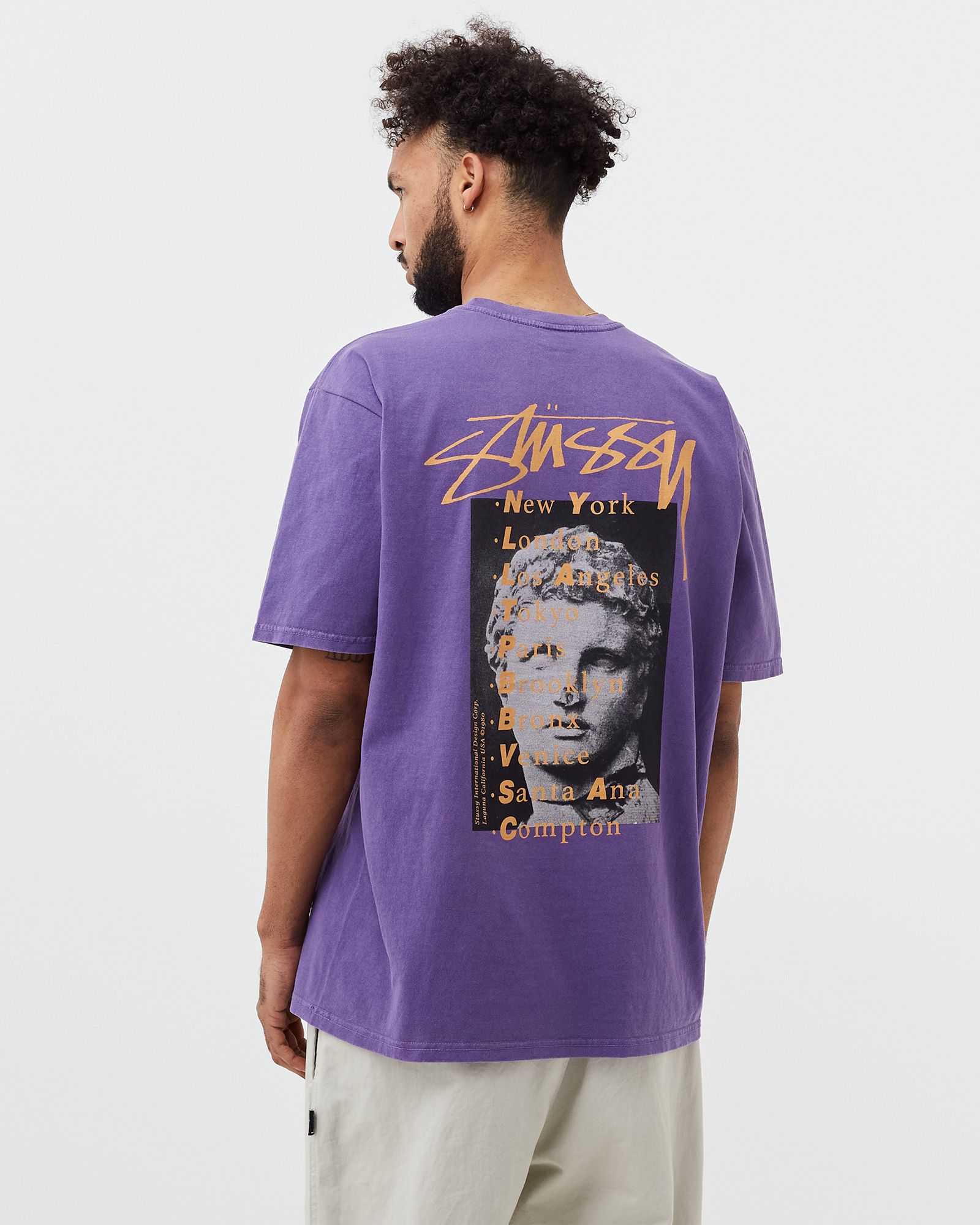 Statue Pig. Dyed Tee