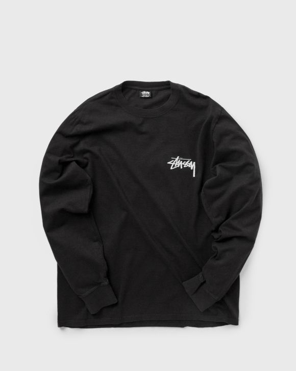 Painter Pig. Dyed Longsleeve